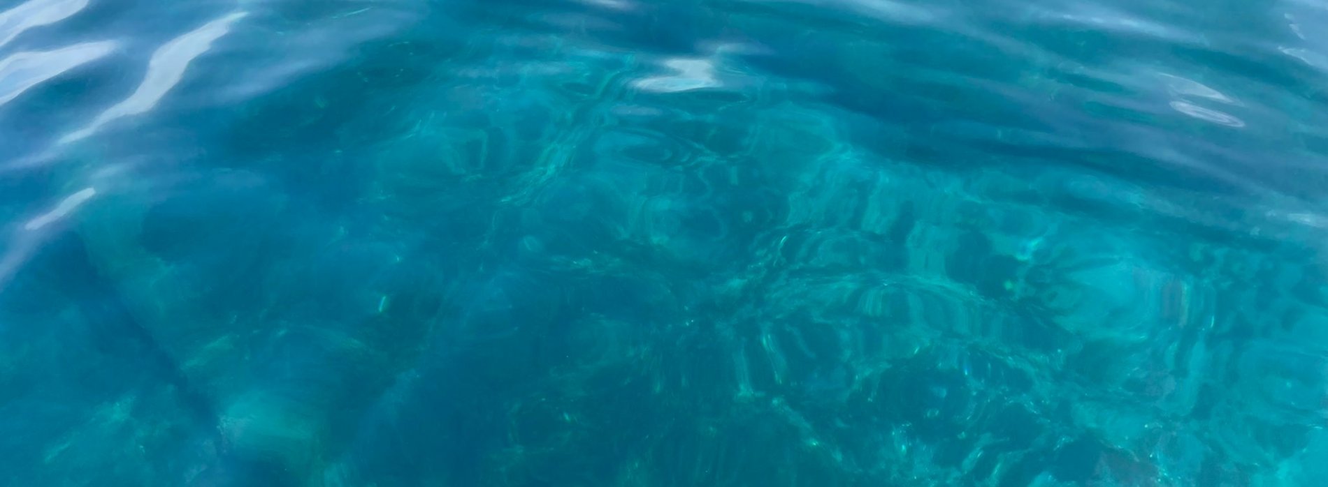 Discover the wrecks in Marbella